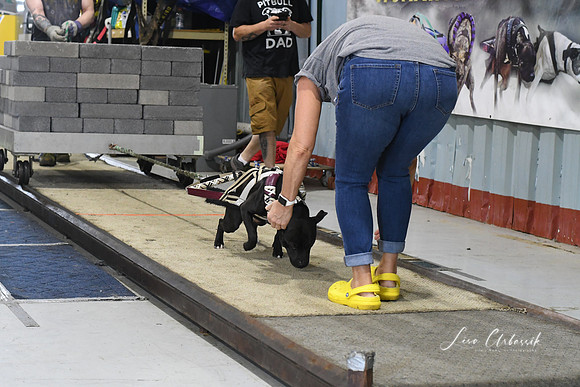 DSC_2298