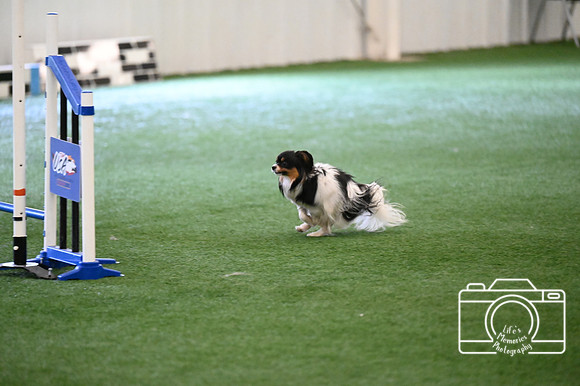 LMP_9635