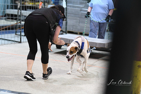 DigitalDSC_8134