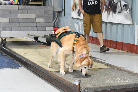 DSC_2761