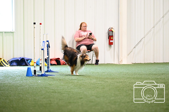 LMP_2995