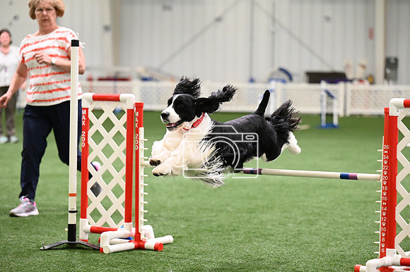 LMP_1745