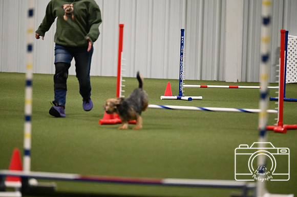 LMP_0331