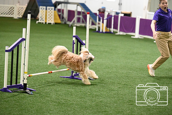 LMP_2402