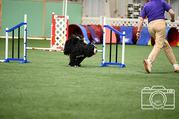 LMP_6988