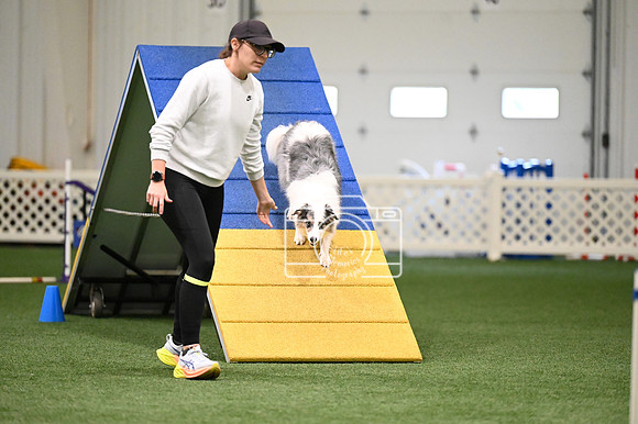 LMP_0296