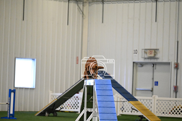 LMP_8323