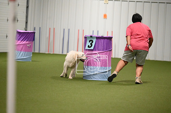 LMP_2028