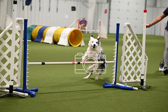 LMP_5207