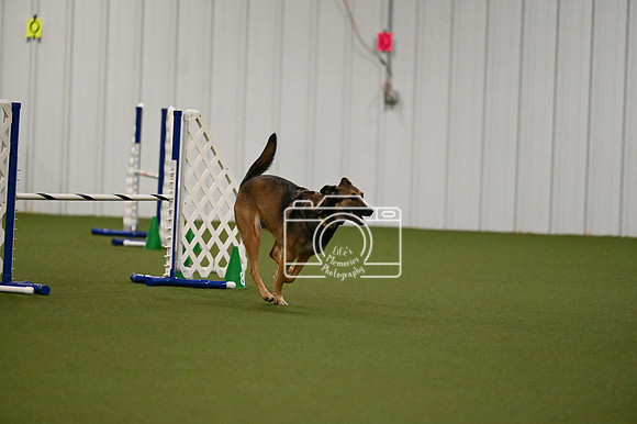 LMP_6027