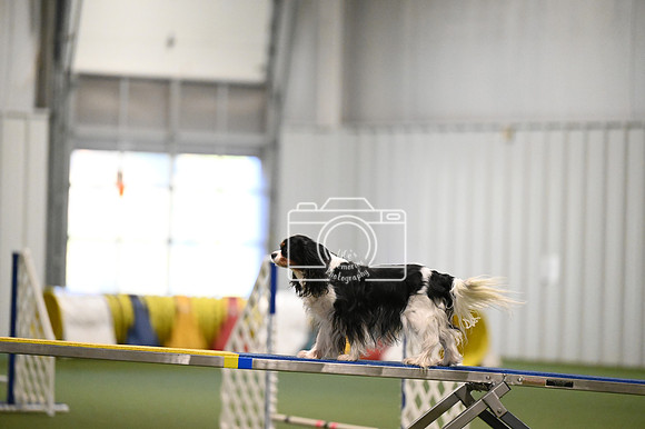LMP_2418
