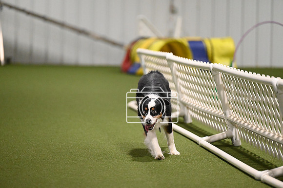 LMP_1397