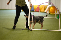 LMP_0680