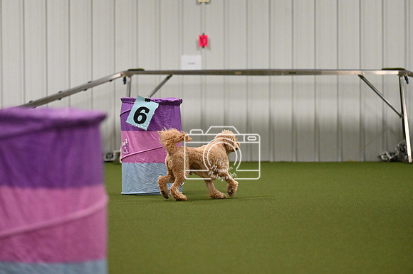 LMP_1351
