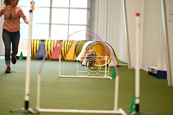 LMP_0819