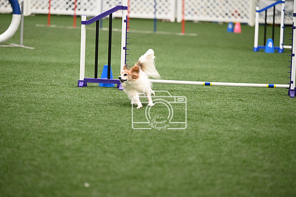 LMP_9271