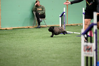 LMP_9286