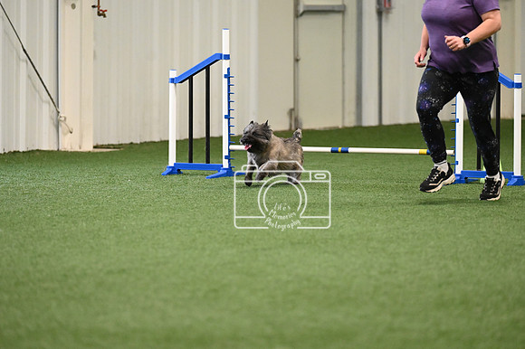 LMP_2622