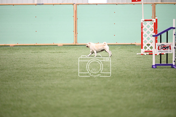 LMP_1429
