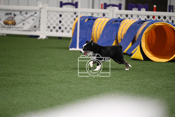 LMP_1448