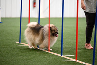 LMP_0005
