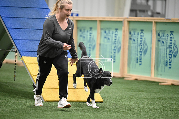 LMP_1302