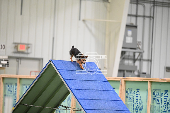 LMP_6759