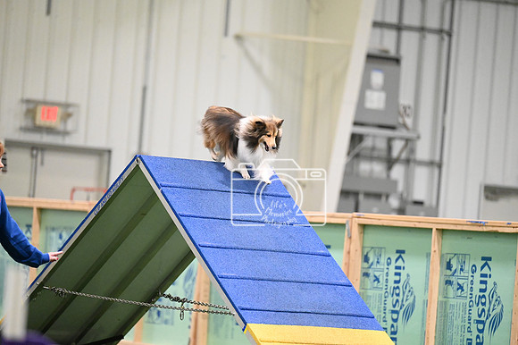LMP_6764