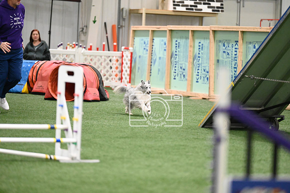 LMP_6843