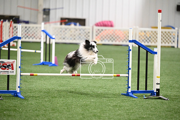 LMP_0035