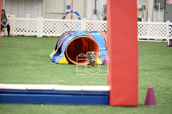 LMP_7616