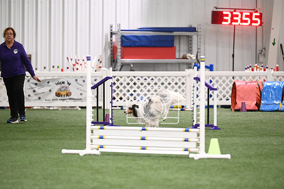 LMP_0739