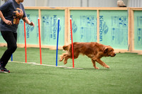 LMP_3843