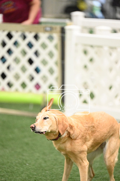 LMP_5612