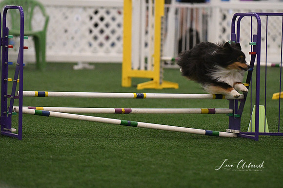 DSC_7275