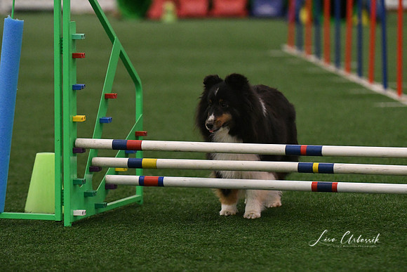 DSC_7268