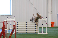DSC_7667