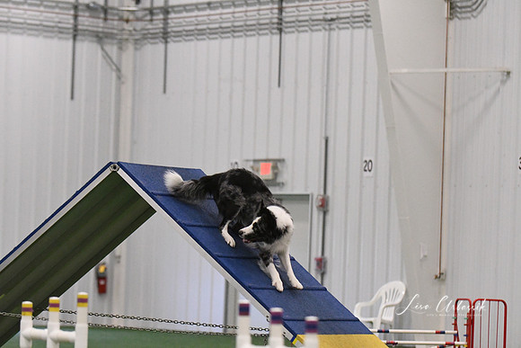 DSC_4460