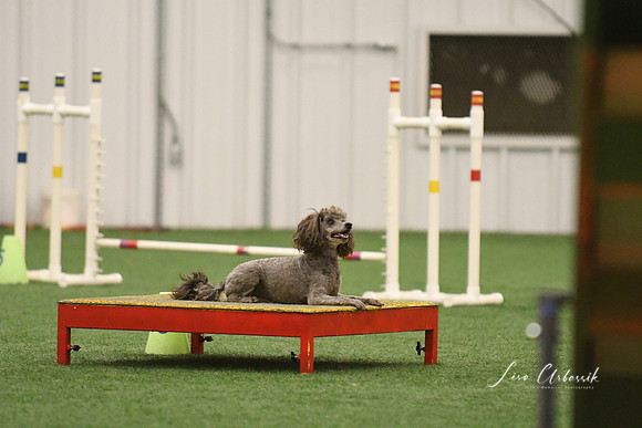 DSC_7928