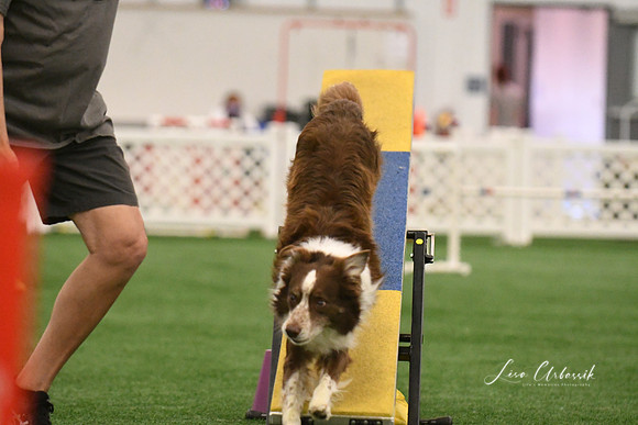 DSC_4315