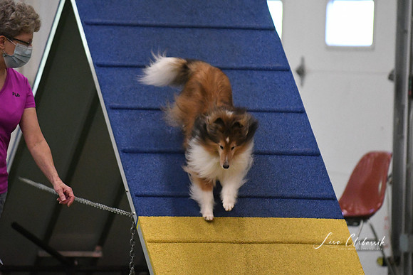 DSC_0823