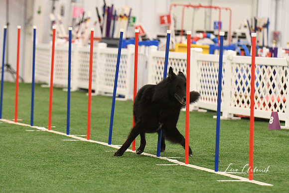 DSC_8930
