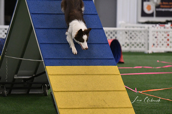 DSC_0929