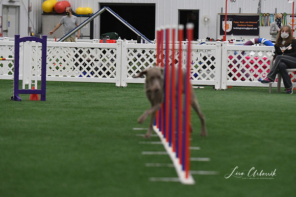 DigitalDSC_3752