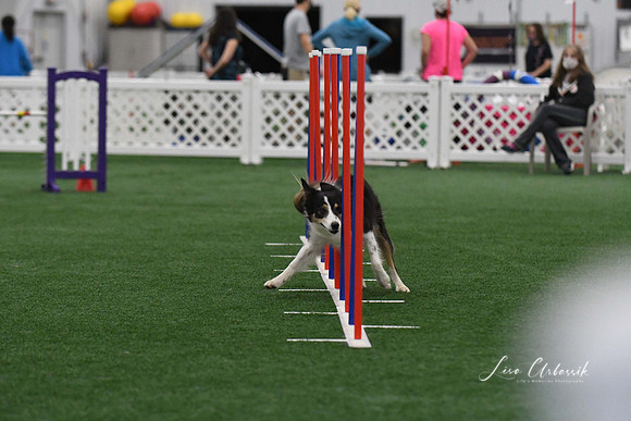 DigitalDSC_3703