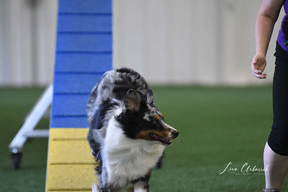 DigitalDSC_3900