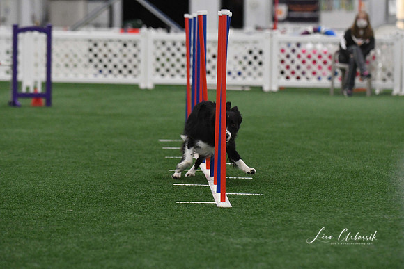 DigitalDSC_3810
