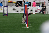 DigitalDSC_3701