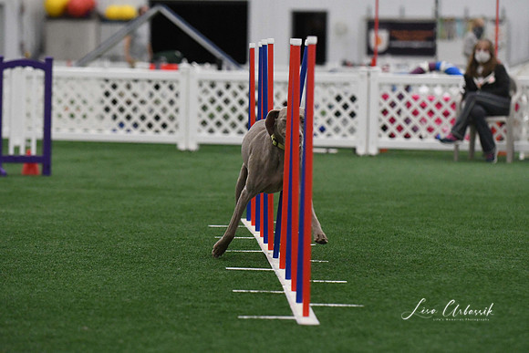 DigitalDSC_3757