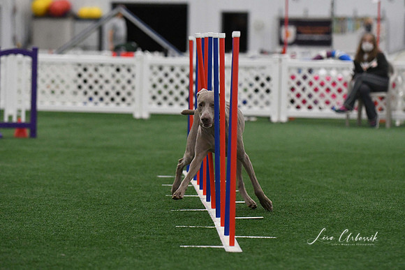 DigitalDSC_3758